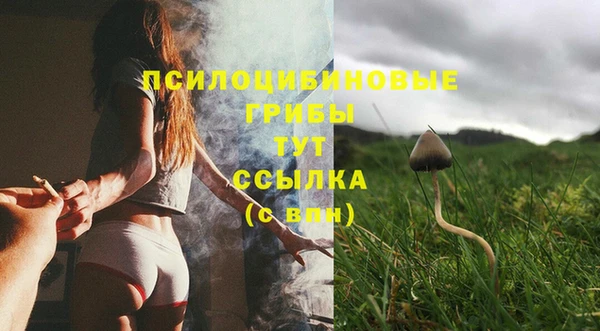эйфоретик Заводоуковск