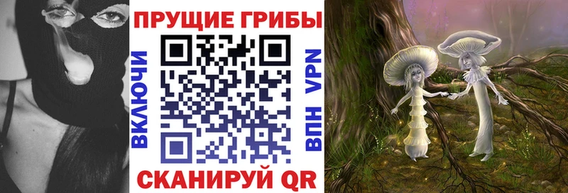 Галлюциногенные грибы MAGIC MUSHROOMS  Купить закладки  Можга 